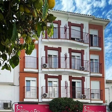 Casa Rosa Nova Daire Marbella Dış mekan fotoğraf