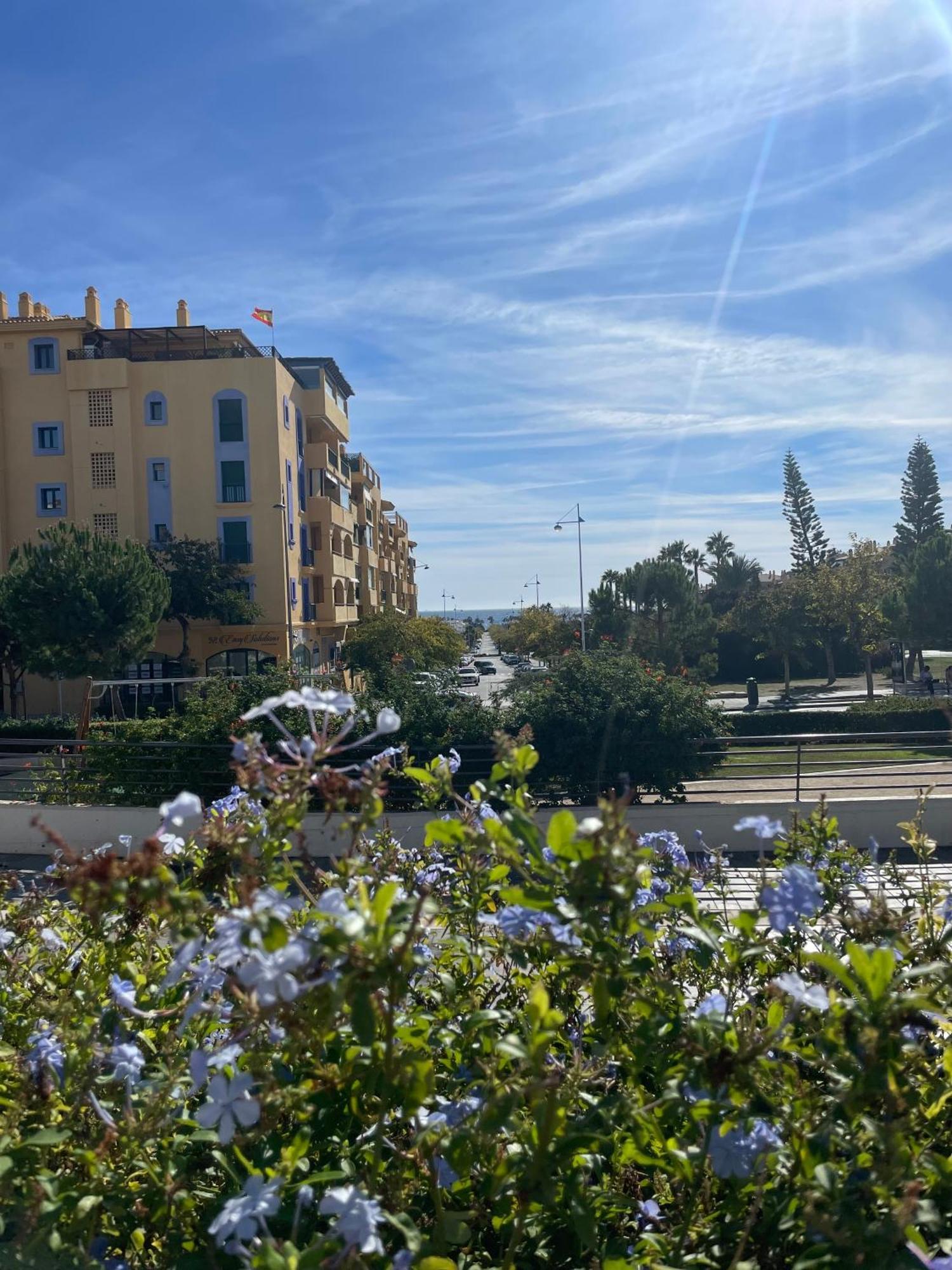 Casa Rosa Nova Daire Marbella Dış mekan fotoğraf